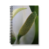 Lysichiton Notebook