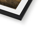 Welsh Cow Framed & Mounted Print