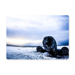 DC-3 Plane Wreck Placemat