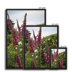 Foxgloves Framed Canvas