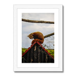 Red Panda Framed & Mounted Print