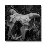 Horns Canvas