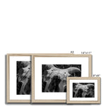 Horns Framed & Mounted Print
