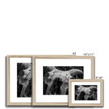Horns Framed & Mounted Print