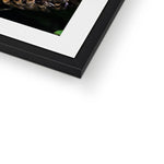 The Hive Framed & Mounted Print