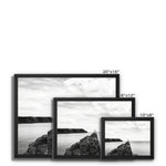 Gower Seagull Framed Canvas