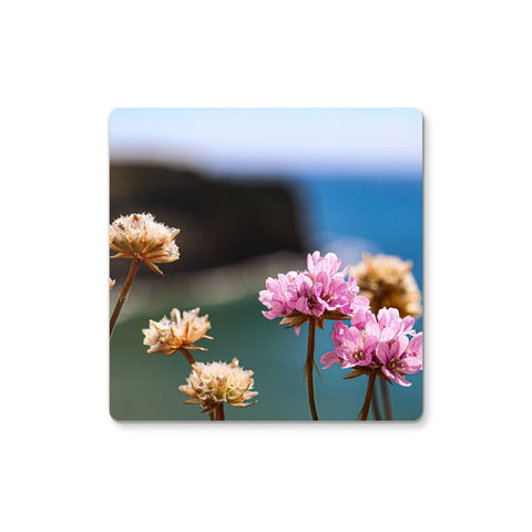 Flores Coaster