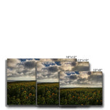 Rhossili Sunflowers Canvas
