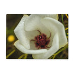 Elle Maree Glass Chopping Board