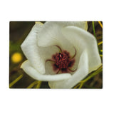 Elle Maree Glass Chopping Board