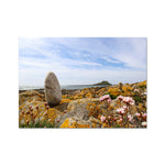 Worm's Head Fine Art Print