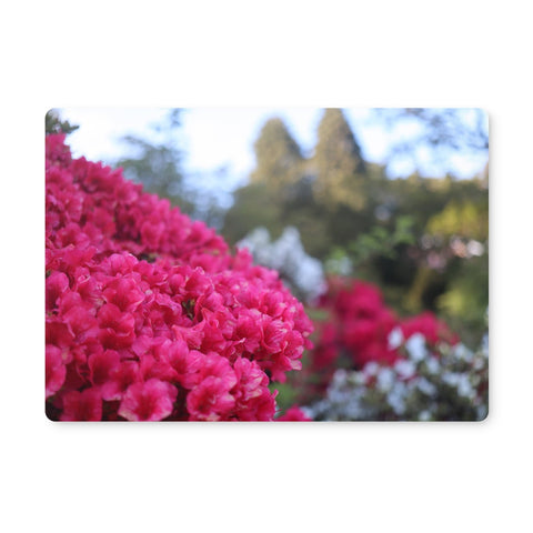 Clyne Gardens Placemat