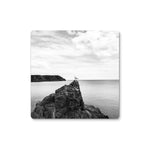 Gower Seagull Coaster