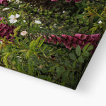 Foxgloves Canvas