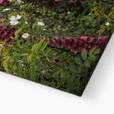 Foxgloves Canvas