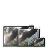 Tilia Cordata Framed Canvas