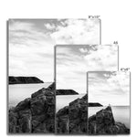 Gower Seagull Fine Art Print