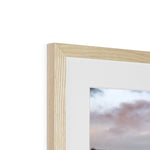 Highland Cow Framed & Mounted Print