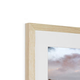 Highland Cow Framed & Mounted Print