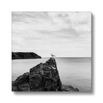 Gower Seagull Canvas
