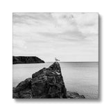 Gower Seagull Canvas