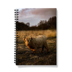 Highland Cow Notebook