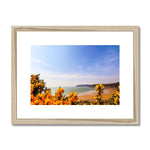 Caswell In Bloom Framed & Mounted Print