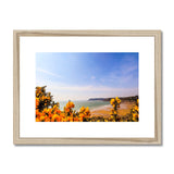 Caswell In Bloom Framed & Mounted Print