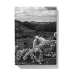 Llyn y Fan Sheep Hardback Journal