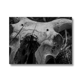 Horns Canvas
