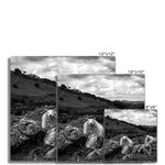 Llyn y Fan Sheep Fine Art Print