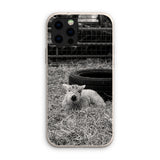 Little Lamb Eco Phone Case