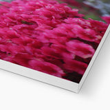 Clyne Gardens Canvas