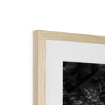 Horns Framed & Mounted Print