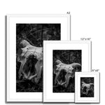 Horns Framed & Mounted Print