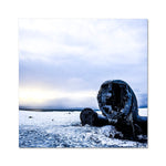 DC-3 Plane Wreck Fine Art Print