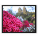Clyne Gardens Framed Canvas