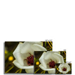 Elle Maree Fine Art Print