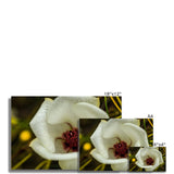 Elle Maree Fine Art Print