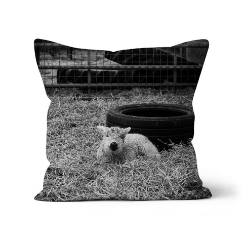 Little Lamb Cushion