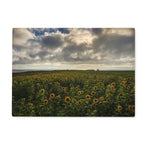 Rhossili Sunflowers Glass Chopping Board