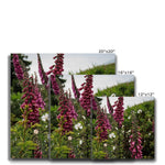 Foxgloves Canvas
