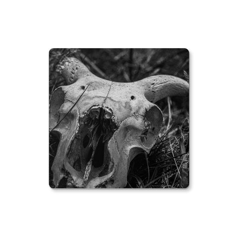 Horns Coaster