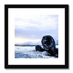 DC-3 Plane Wreck Framed & Mounted Print