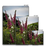Foxgloves Canvas