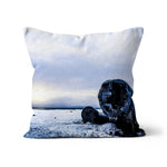 DC-3 Plane Wreck Cushion