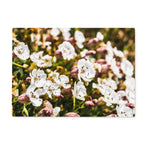 Sea Campion Glass Chopping Board