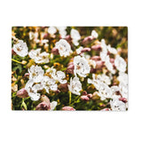 Sea Campion Glass Chopping Board