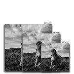 Whitesands Pony Canvas