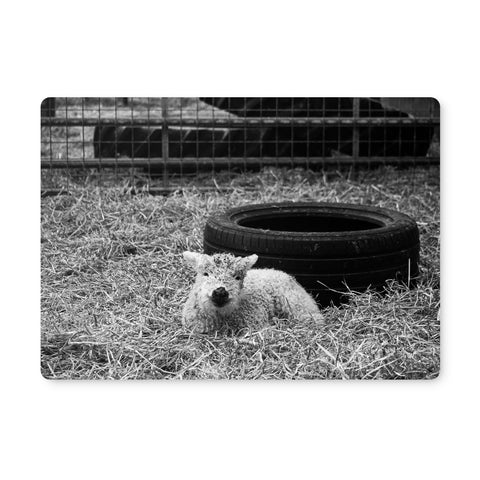 Little Lamb Placemat
